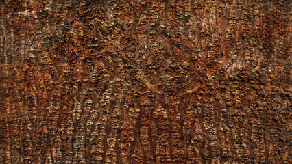Wood texture photographed with a macro lens and other textures blended with that photo