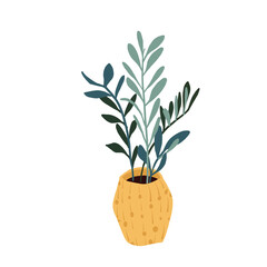 Indoor House Plant Illustration
