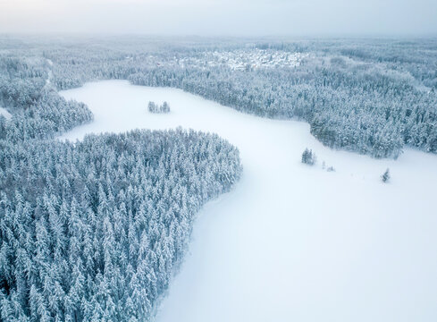 Aerial view of a frozen forest as background. Winter Nature From the above.