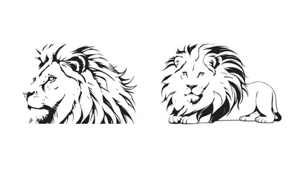 Lion Head Logo Vector Template Illustration set, collection 