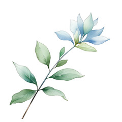 a delicate botanical illustration of a leafy plant
