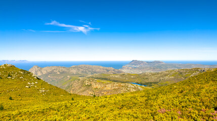 Obraz premium Coastal mountain landscape with fynbos flora in Cape Town..