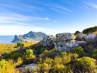 Foto auf Leinwand Hout Bay Coastal mountain landscape with fynbos flora in Cape Town. © Sunshine Seeds