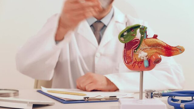 Doctor with anatomical model of pancreatic consultation and give pills close-up. Protection, treatment, prevention concept.	