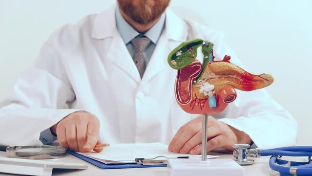 Doctor is holding anatomical model pancreatic folded hands above head like house roof	