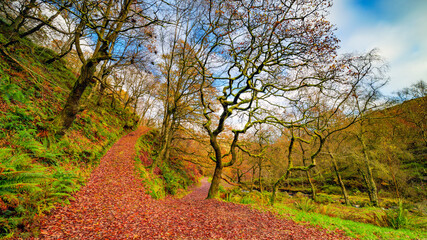 Fototapeta premium path in the autumn forest, Middle Black Clough Waterfall