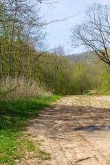 Spring walks in nature on a dirt road leading to the forest.