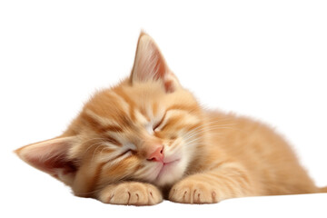A cute little orange-gray kitten lies on its back with its front legs raised up to its ears and its eyes closed.isolated on transparent background,png file