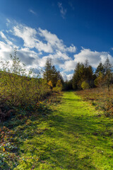 autumn in the mountains, Middle Black Clough Waterfall