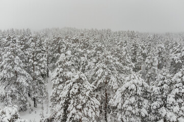 aerial view from a drone of a snowy winter forest