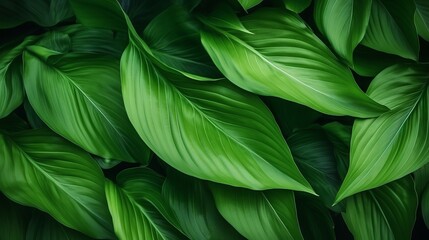 Tropical green leaves seamless pattern. Nature background. illustration Generative AI