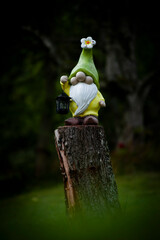 yellow garden gnome with green hat and lantern standing on tree stump