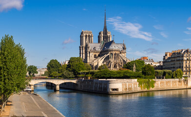 Notre Dame de Paris cathedral and the Seine River Banks (UNESCO World Heritage Site) in summer. Ile de la Cite, Paris, France - obrazy, fototapety, plakaty