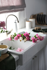 Bunch of beautiful peonies in kitchen sink