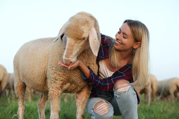 Smiling woman feeding cute sheep on pasture. Farm animals - obrazy, fototapety, plakaty