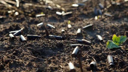 A scorched field after a battle with a machine gun shell. Field with small sprouts of plants. War concept