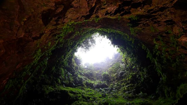 Inside of inactive volcanic vent of Algar do Carvao covered with plants. Terceira, Azores