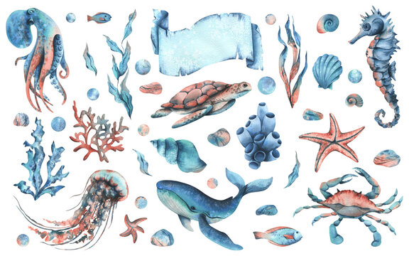 Underwater world clipart with sea animals whale, turtle, octopus, seahorse, starfish, shells, coral and algae. Hand drawn watercolor illustration. Big set objects on a isolated background.