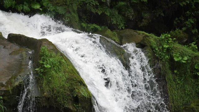 Impressive Slow-Mo Waterfall in the Forested Mountains, Ukraine, Carpathians
