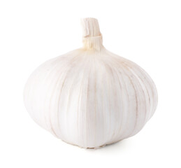 Head of fresh garlic isolated on white