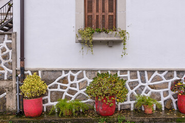 Fototapeta na wymiar Plants overwintering. Facade of a rural house