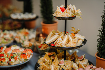 appetizing appetizers presented at a catering event. A variety of dishes are neatly arranged on the buffet table, showcasing a range of colors and textures.