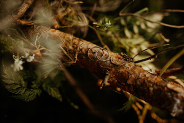 Hochzeitsringe in der Natur