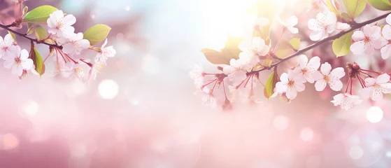 Foto op Canvas Spring themed background, cherry tree branches, bokeh, empty space, soft and vibrant colors © IonelV