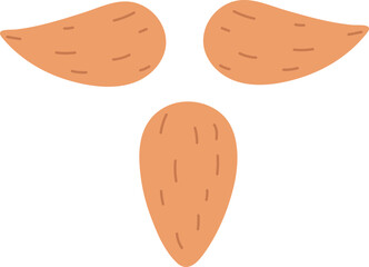 beard st. pratick's day isolated