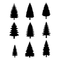 Isolated Pine on the white background. Pine silhouettes. Tree hand drawn. Vector EPS 10