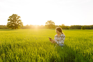 A woman farmer holds a digital tablet checking the quality of the crop in a sunset field. The...