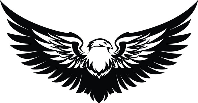 Eagle , sketch vector image