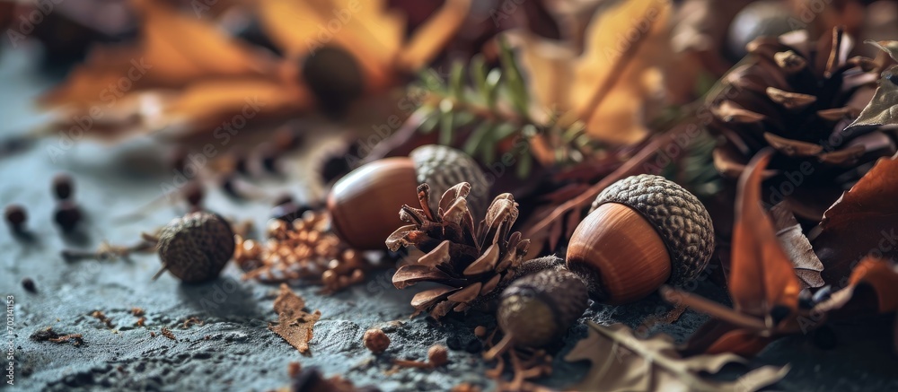 Poster copy space vintage style decorating with acorn pine cone and dried leaves the autumn season concept. with copy space image. Place for adding text or design