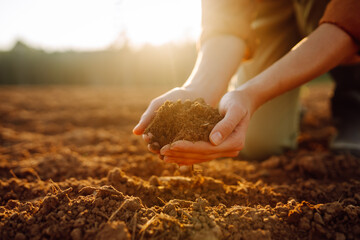 Women's hands sort through black soil in the field. A woman farmer checks the quality of the soil. Ecology, agriculture concept.