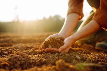 Women's hands sort through black soil in the field. A woman farmer checks the quality of the soil. Ecology, agriculture concept.