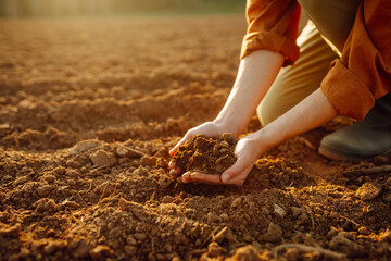 Women's hands sort through black soil in the field. A woman farmer checks the quality of the soil. Ecology, agriculture concept.