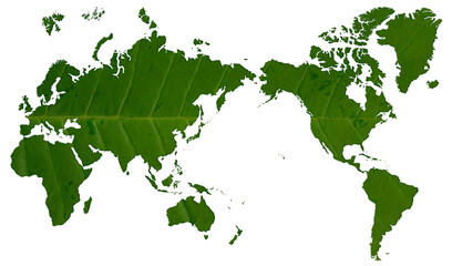 大きな緑の葉っぱで描いた、葉脈が美しい世界地図