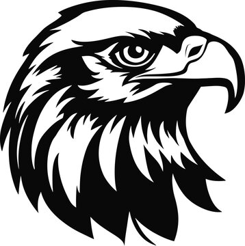 Eagle , sketch vector image