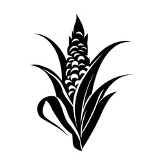 Corn black vector icon on white background