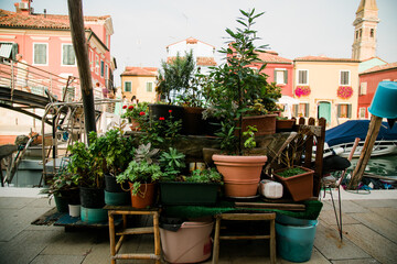 Plant Stand in Burano, Venice
