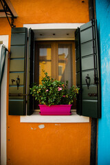 Window in Burano
