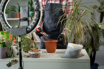 gardening blog concept. Man caring of home green plants indoors. Spring waking-up and home garden