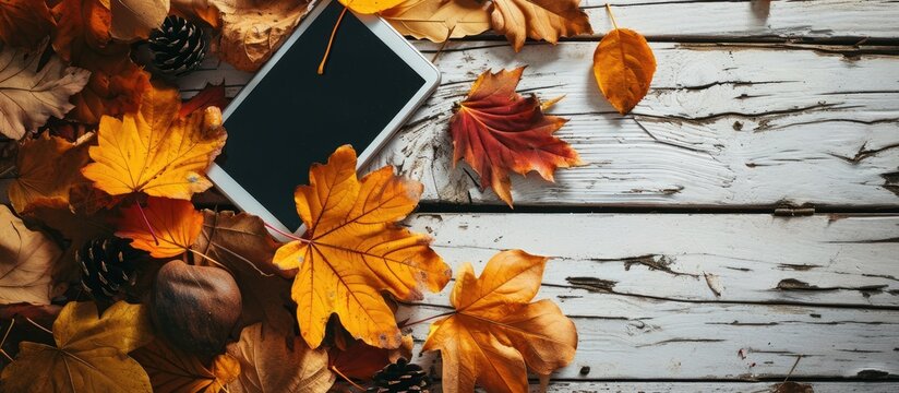 Fall reading top view of an emptyebook on a rustic white wood surface surrounded by fall themed items and wooden letter tiles autumn themed ereader flat lay with copy space. with copy space image