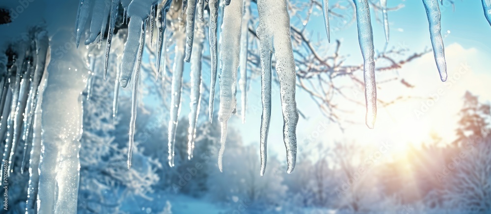 Leinwandbilder beautiful shiny transparent icicles hang on a clear day winter background with hanging icicles. with