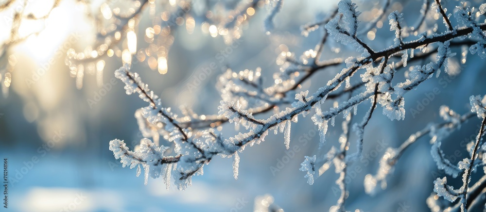 Poster Frosted tree branches covered with ice and icicles on white snowy background Tallinn Estonia Selective focus blurred background. with copy space image. Place for adding text or design