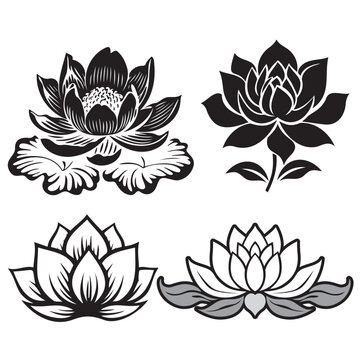 outline lotus flower tattoo style