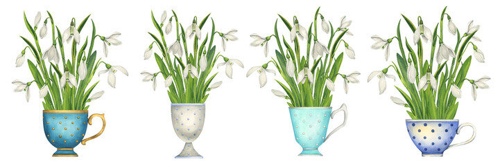 Collection of bouquets of snowdrops in vintage tea cups. Botanical illustration. Set of flower arrangements on a white background