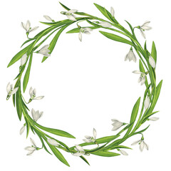 A simple wreath of snowdrop leaves and flowers. Watercolor illustration in vintage style. Blank for cards, decoration of towels, pillows