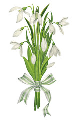 Bouquet of snowdrops with a striped ribbon. Tender spring watercolor illustration. Wild spring flowers. Botanical realistic illustration
