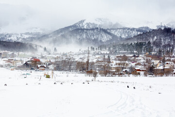 View of Bakuriani, winter resort in Georgia - obrazy, fototapety, plakaty
